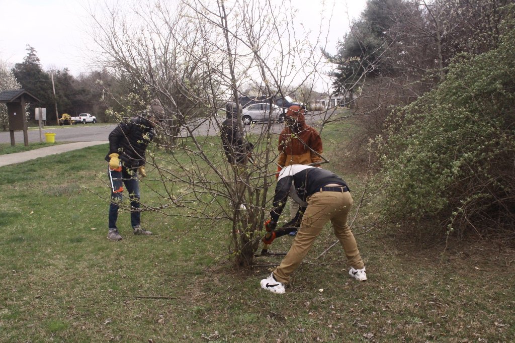 Group at work near parking lot