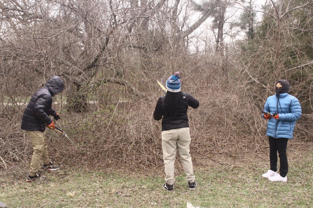 Group at work with pruners