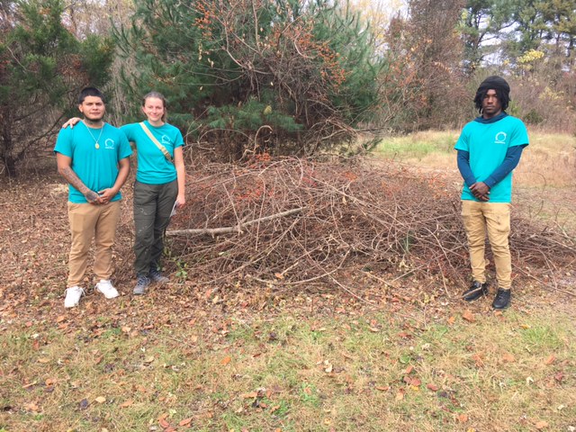 Team members posing near a pile of Callery pear branches