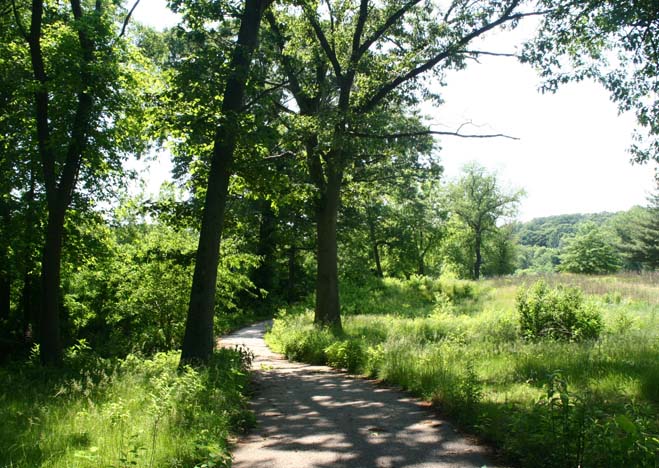 Maple Ridge spring scene, May 2009